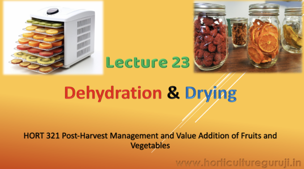 Dehydration & Drying PPT